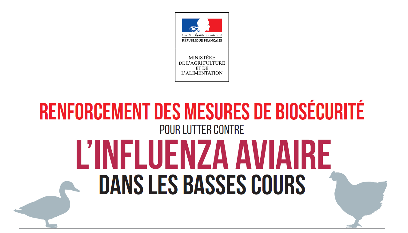 INFLUENZA AVIAIRE