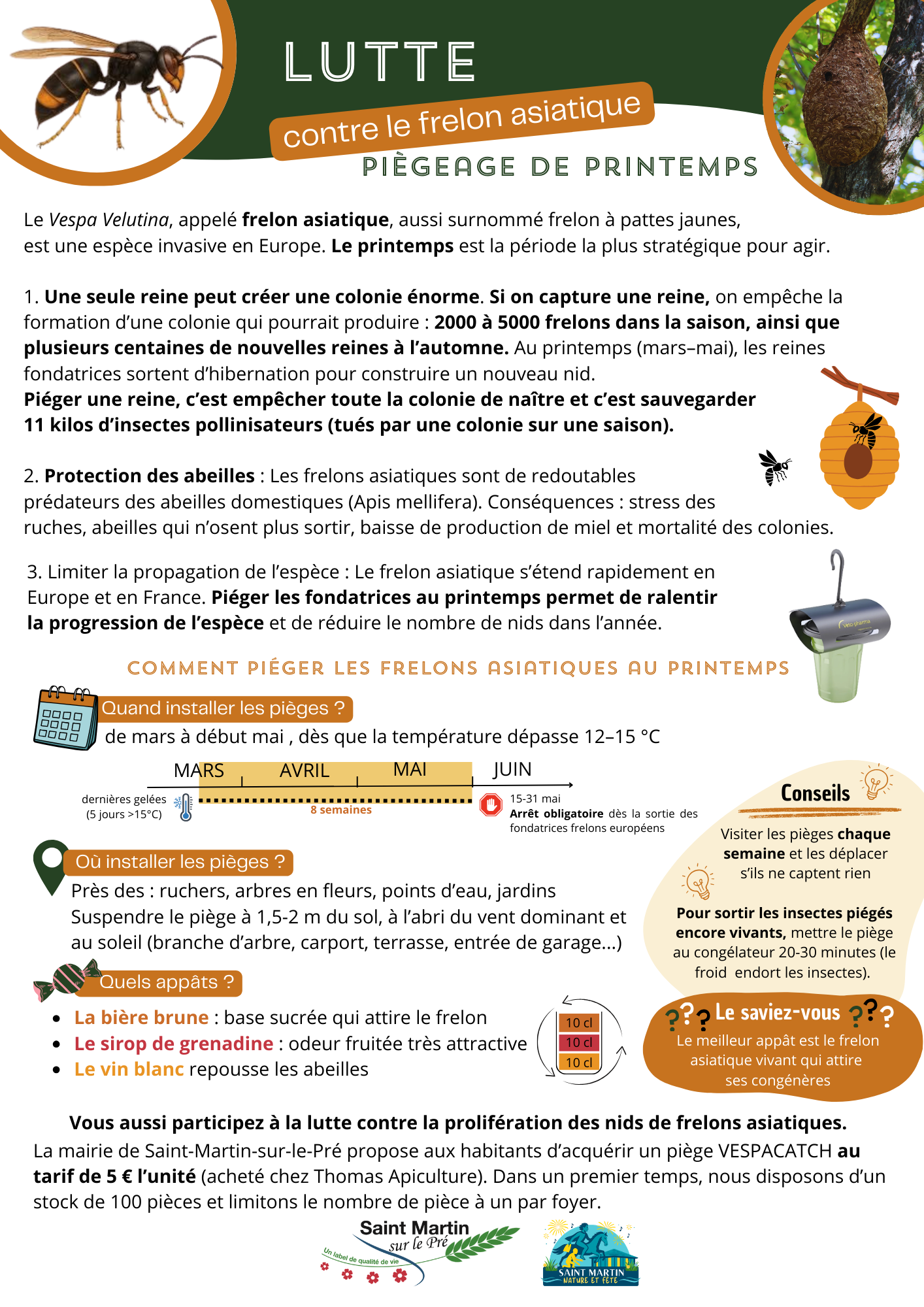 Infos frelons asiatiques